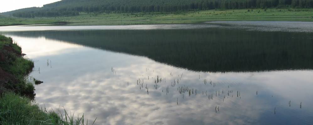 Фотография Ораков