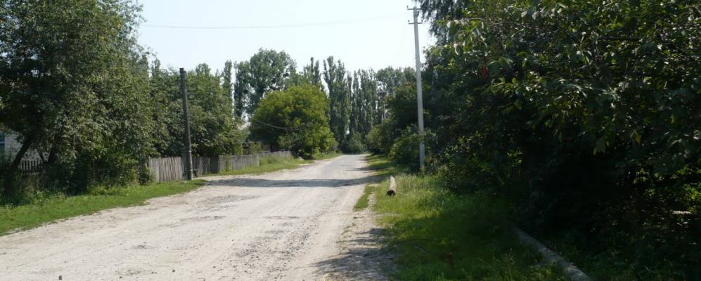 
            Фотография Витонижа