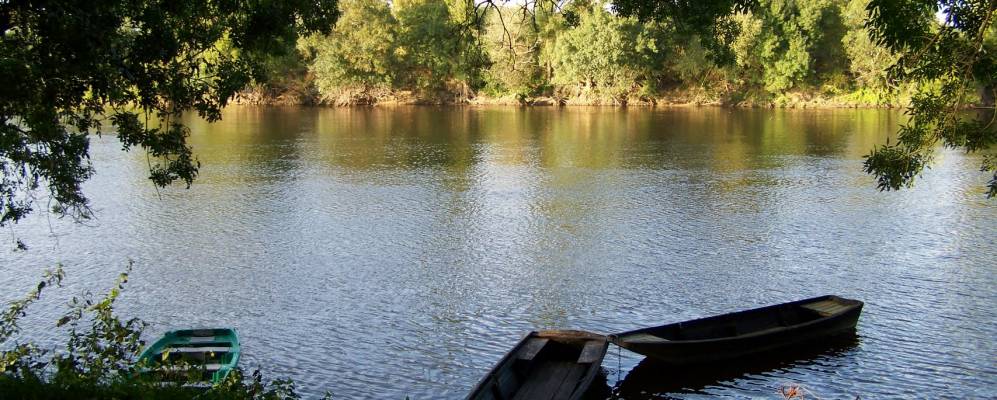 
            Фотография Анше