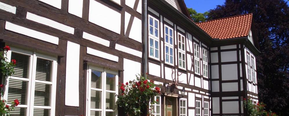 
            Фотография Зезена