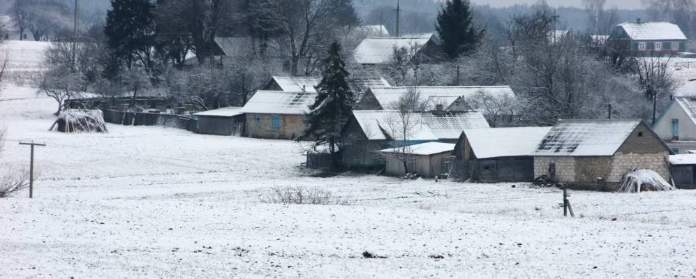 
            Фотография Куты