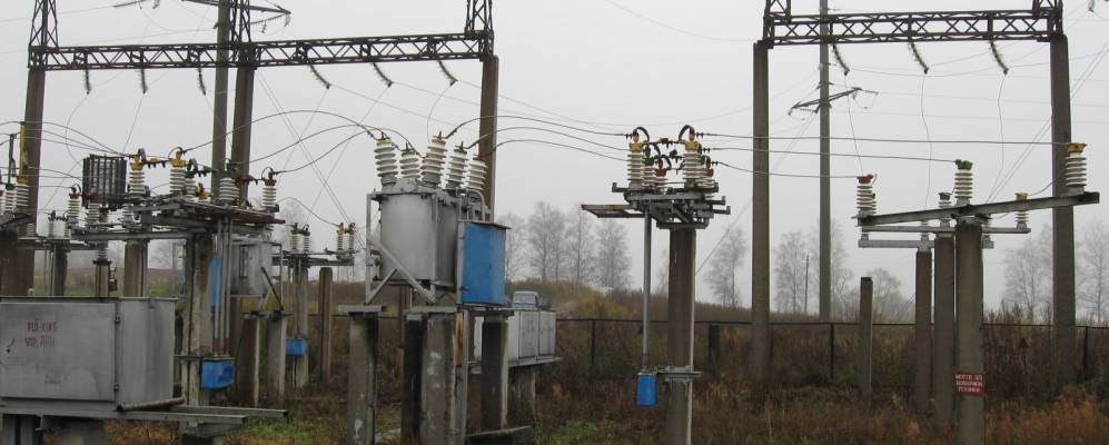 Фотография Лешни