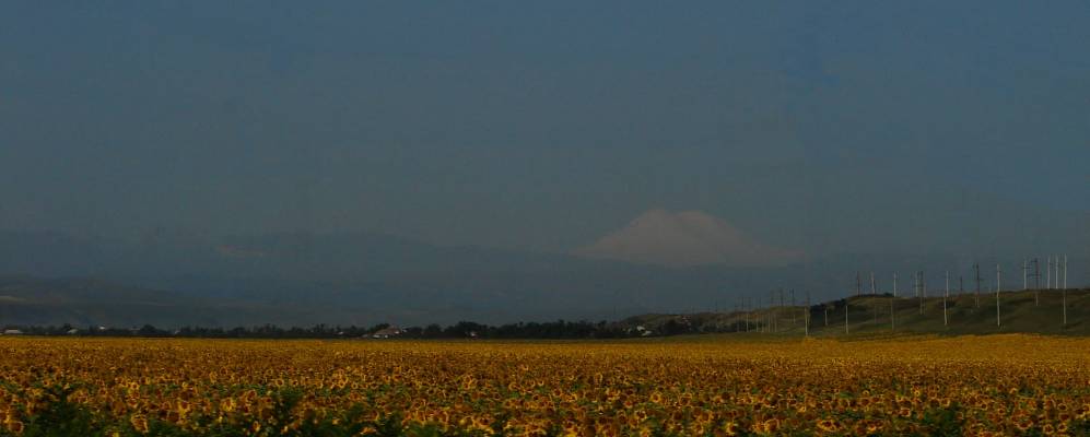 
            Фотография Псынадахи