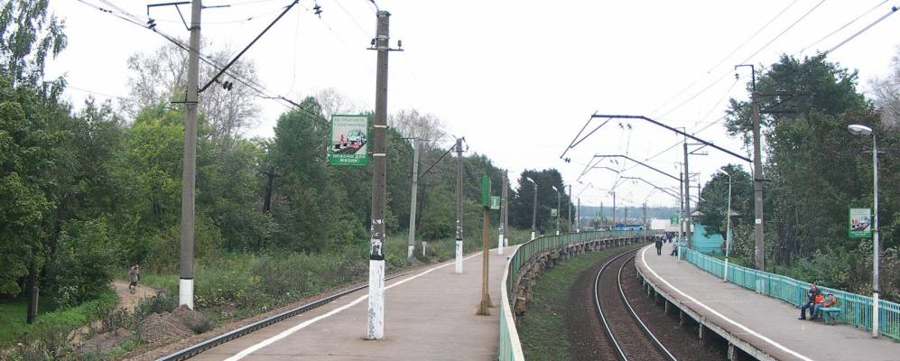 
            Фотография Рыбушек