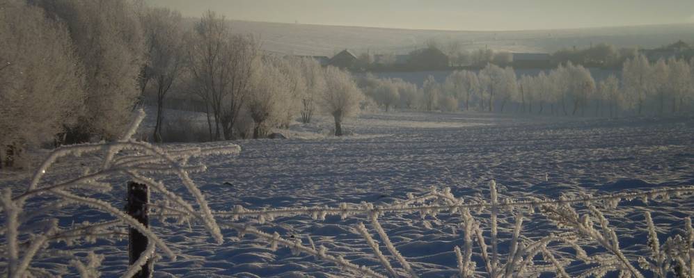 
            Фотография Королевки