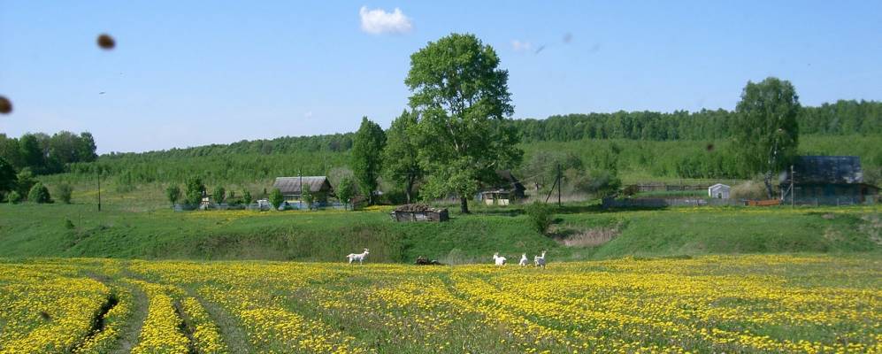 
            Фотография Масловки