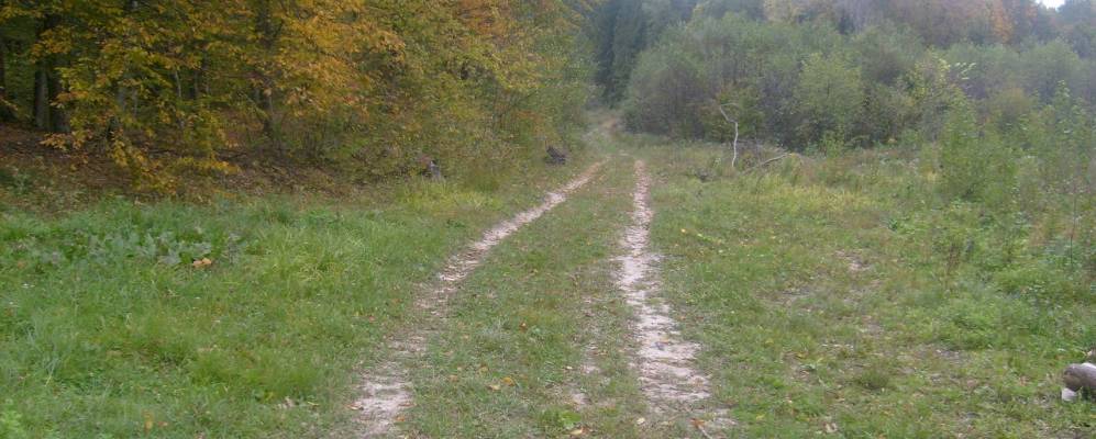 
            Фотография Каменногорки