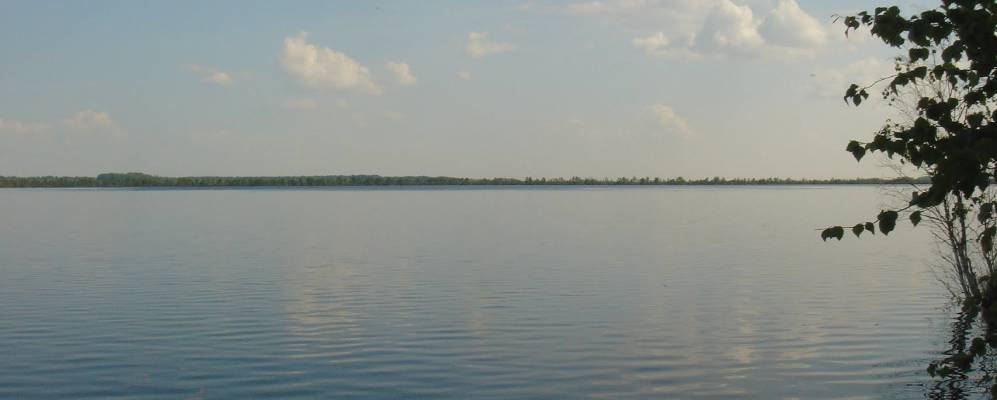 
            Фотография Калитинки