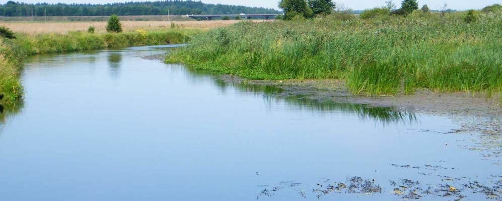 
            Фотография Перучи-1