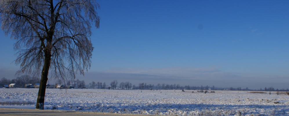 
            Фотография Шевченко