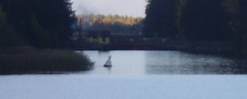 
            Фотография Васькино