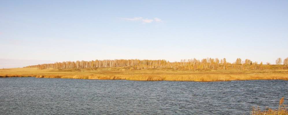 
            Фотография Медиака