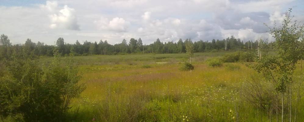 Фотография Полуяково