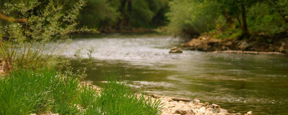 
            Фотография Цвингена