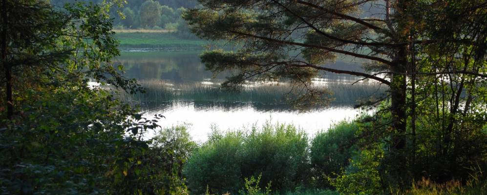 
            Фотография Решетниково