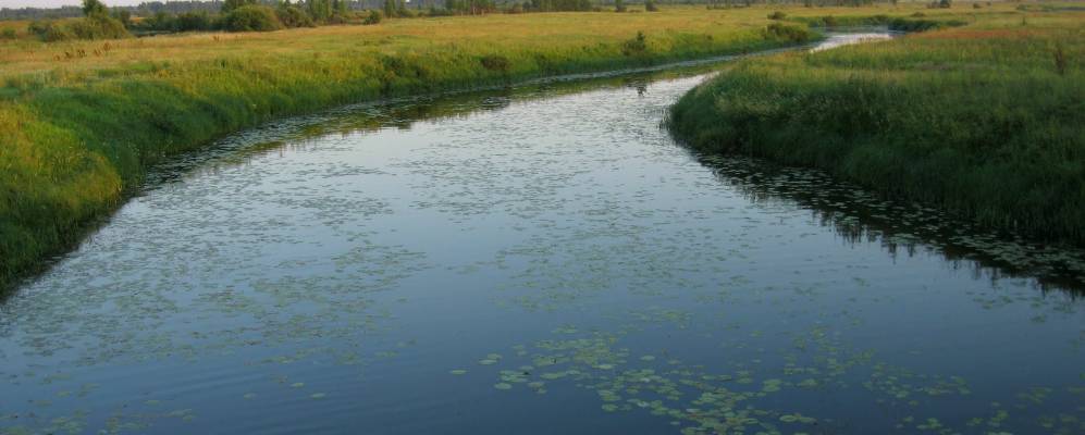 Фотография Высоково