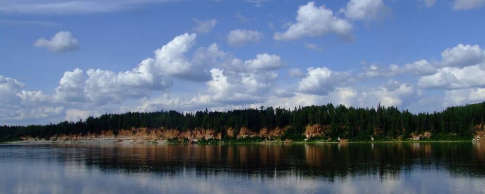 Фотография Соялы