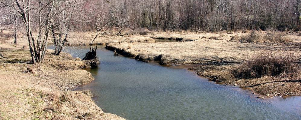 
            Фотография Мечаниксвилла