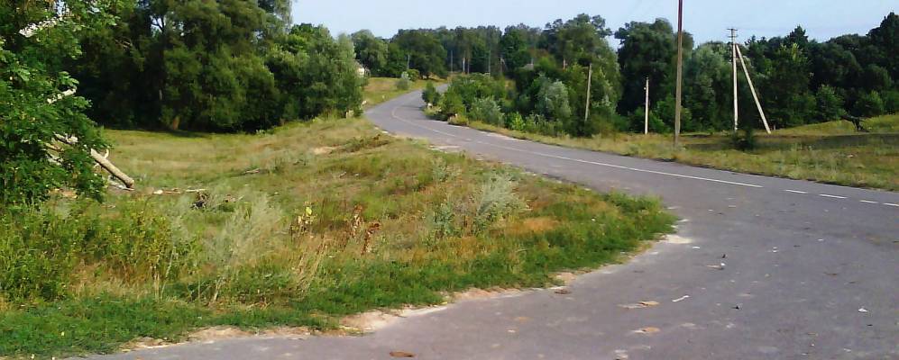 
            Фотография Березовки