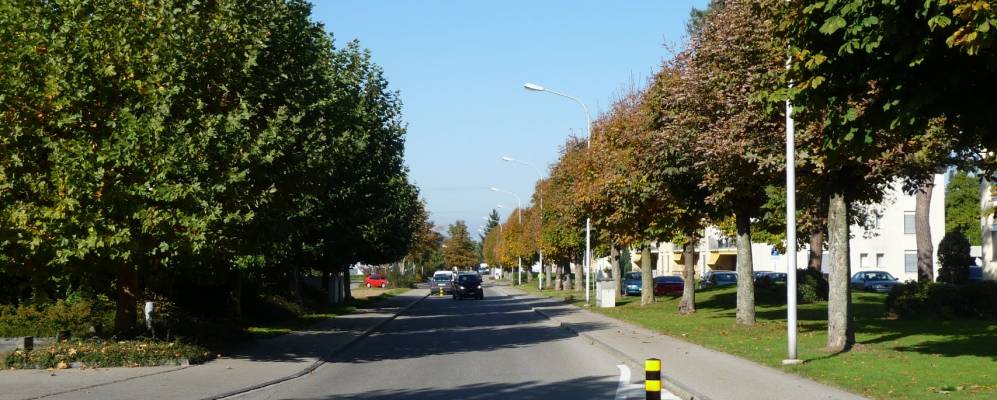 
            Фотография Муриа