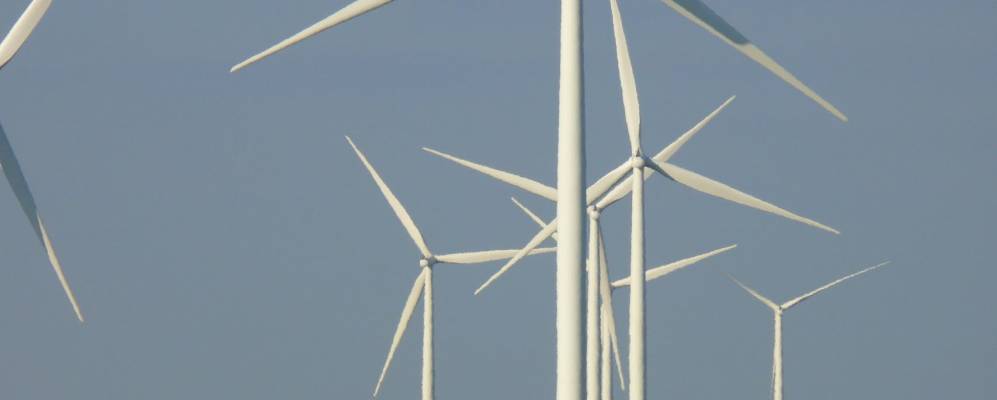 
            Фотография Тафта