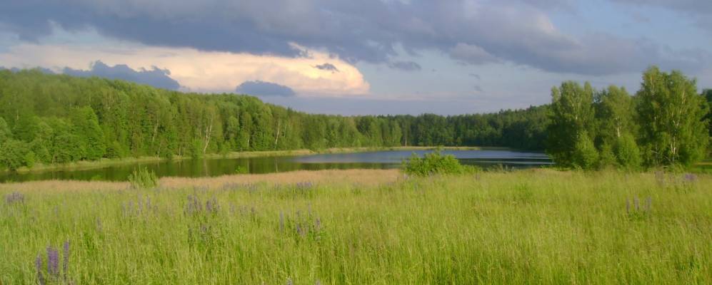 
            Фотография Боброво