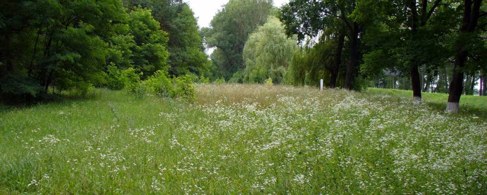 
            Фотография Вакулки