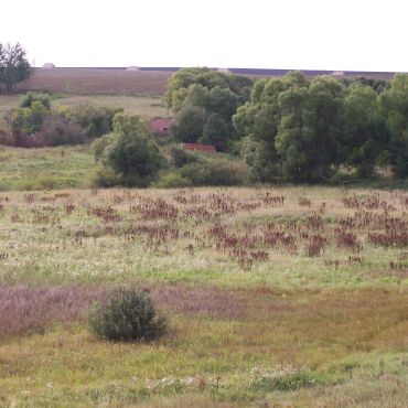 Речка- Крапивенка