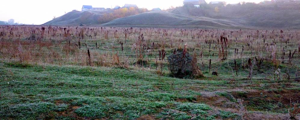 
            Фотография Князево