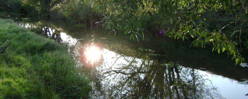 
            Фотография поселка Красильникова