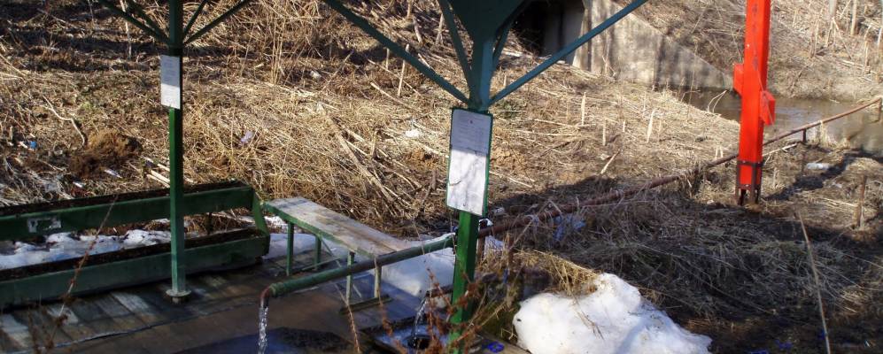 
            Фотография Марфино