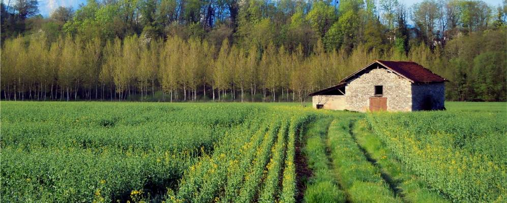 
            Фотография Сент-Этьен-дё-Кросей