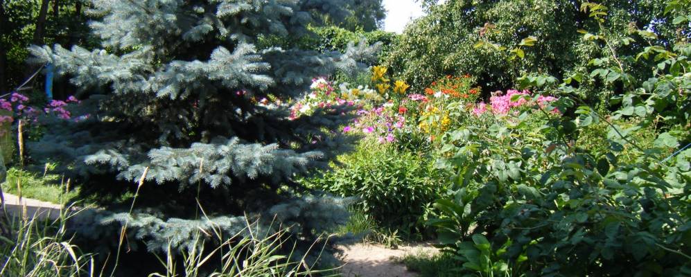 
            Фотография Щегрово