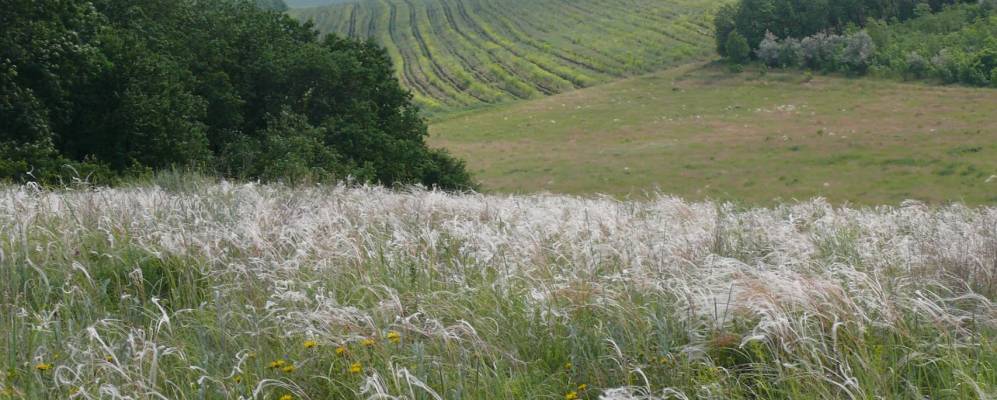 
            Фотография Затишного