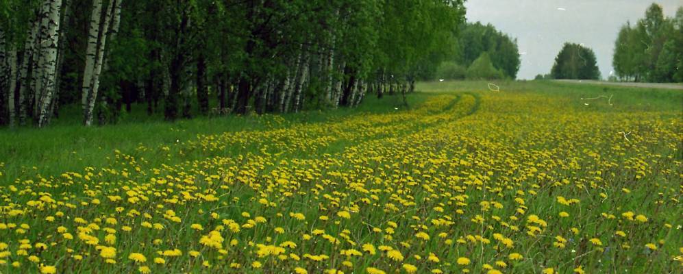 Фотография Анисимово