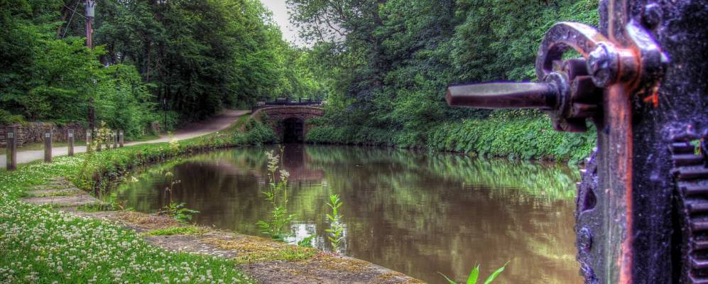 
            Фотография Марпла