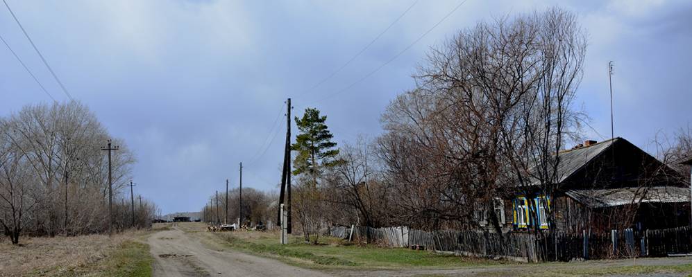 
            Фотография Мохового