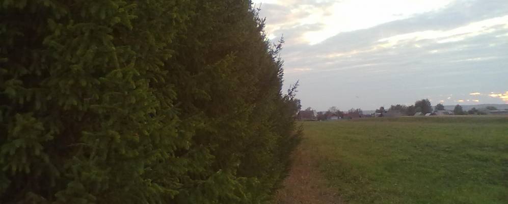 Фотография Тошкурово