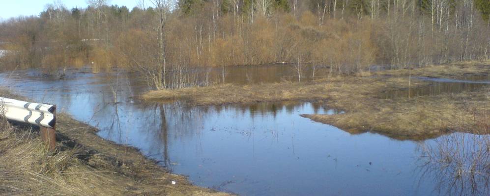 
            Фотография Светицы