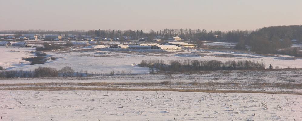 
            Фотография Елоха