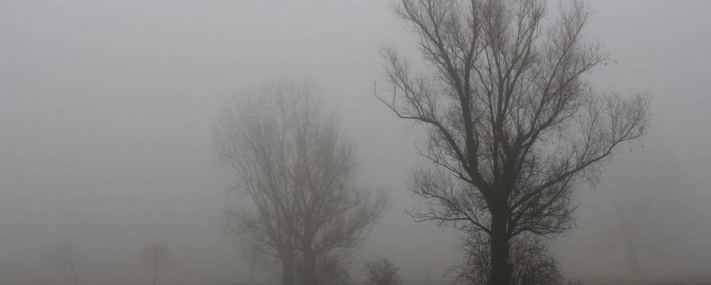 
            Фотография Нервьяно