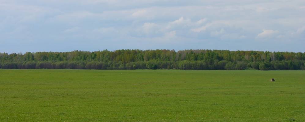 Фотография Оломны