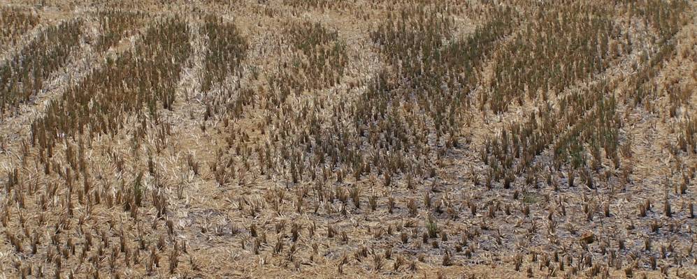 
            Фотография Пурнанкупама