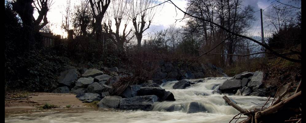 
            Фотография Крапона