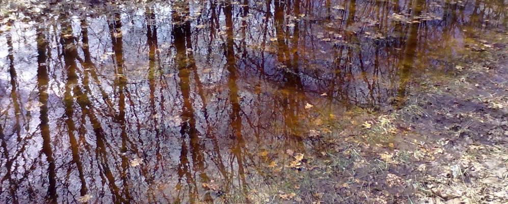 Фотография Латышовки