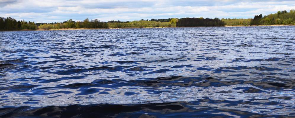 
            Фотография Уткино