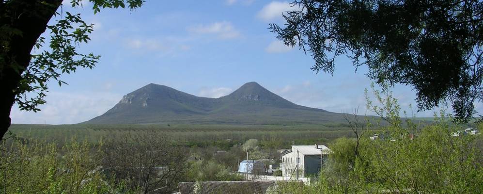 
            Фотография Прикумского