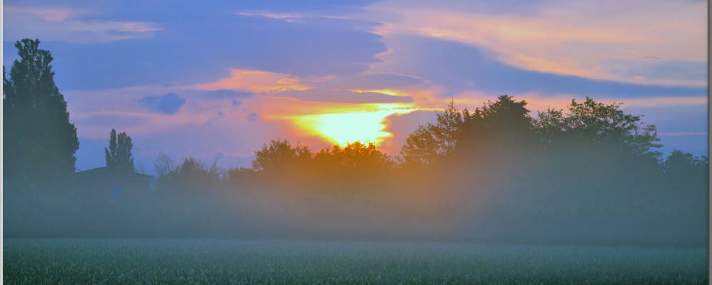 
            Фотография Тайад