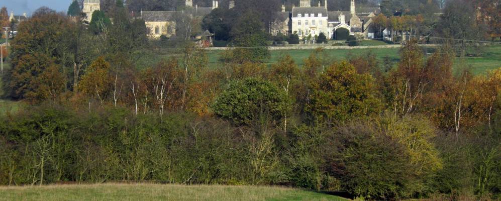 
            Фотография Эдит Вестона