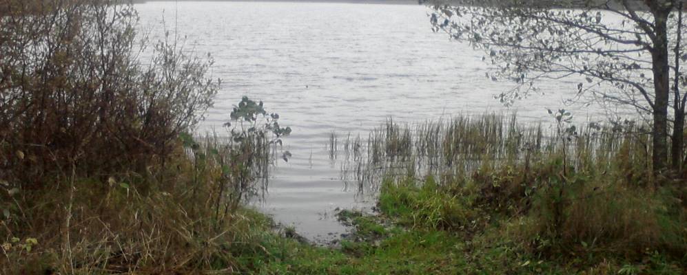 Фотография Ломоносово